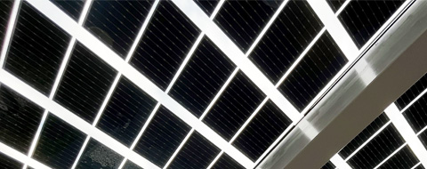 Transparente Solarmodule Halbzellen